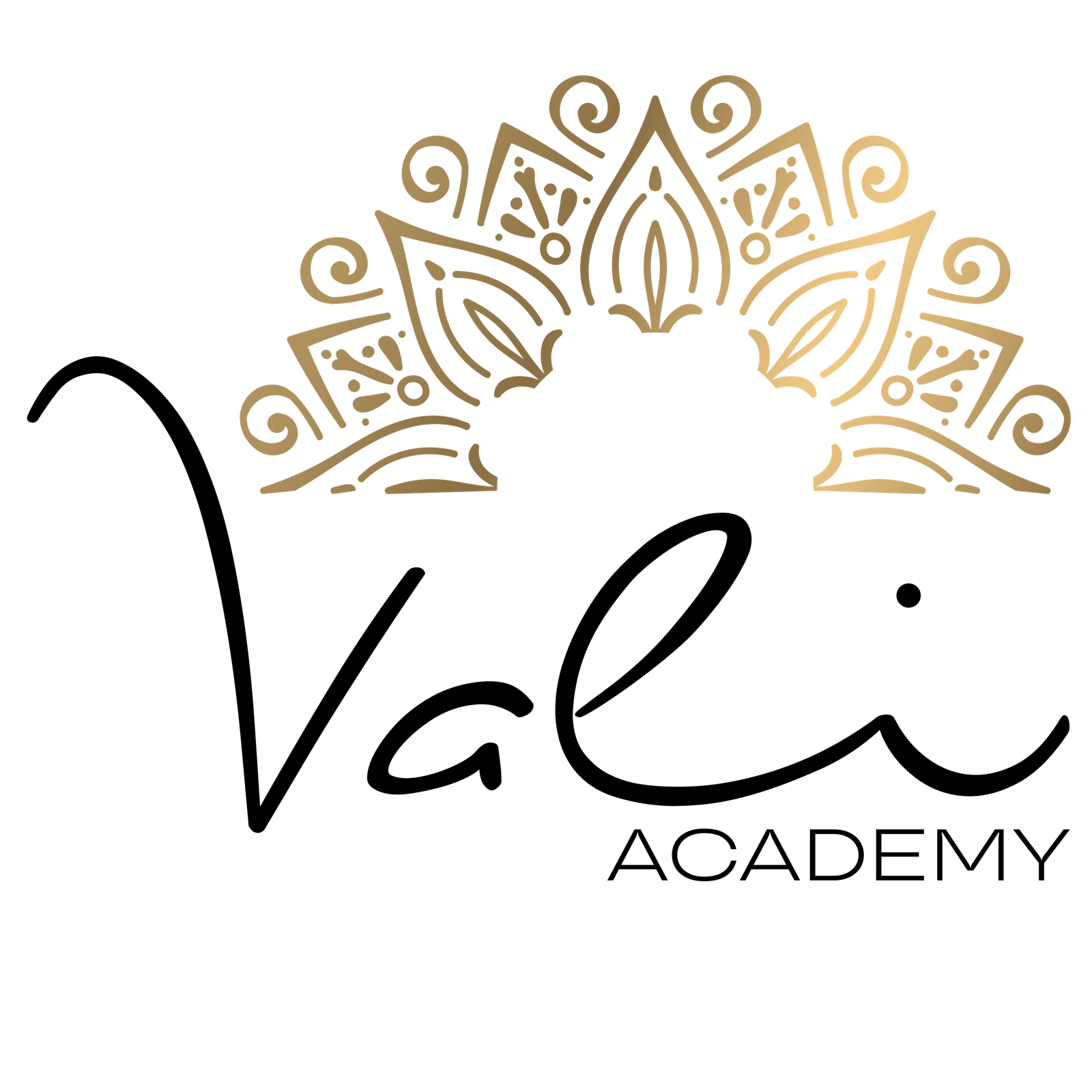Logotipo de la Academia Vali